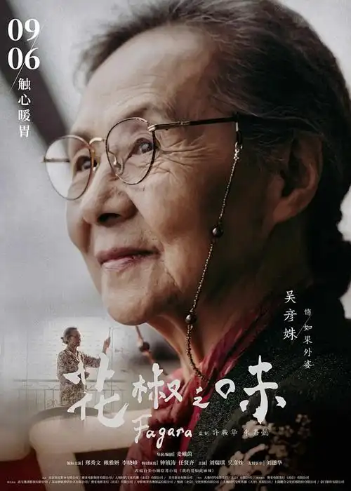 神马影院热血冒险动漫银翼旅人海报